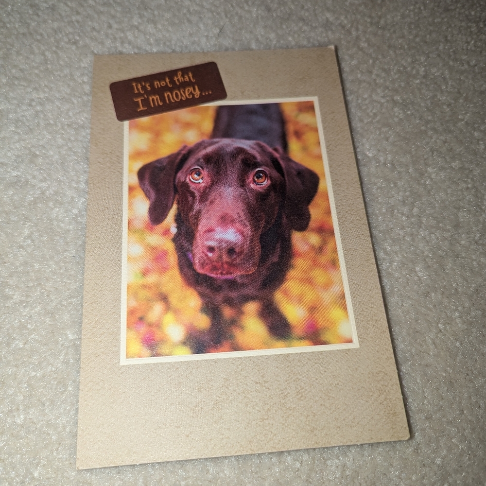 American Greetings I Care Dog Card